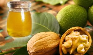 Minyak walnut: faedah dan keburukan, cara pengambilannya