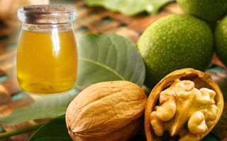 Minyak walnut: faedah dan keburukan, cara pengambilannya