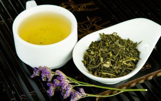 Sencha tea (sencha): medicinal properties and contraindications