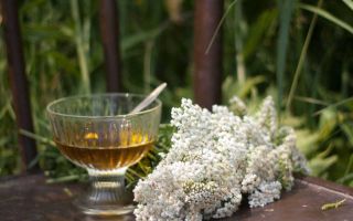 What diseases and what helps yarrow