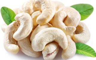 Cashew: sifat berguna dan kontraindikasi