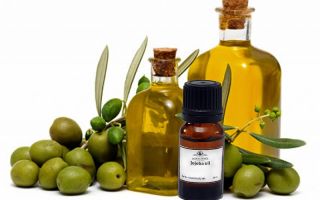 Cara penggunaan dan ulasan mengenai penggunaan minyak jojoba untuk wajah