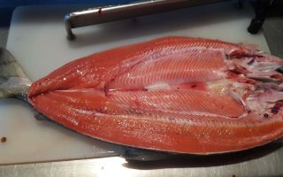 Chum fish: benefits and harms, chemical composition, contraindications