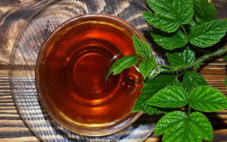 The benefits and harms of raspberry leaf tea