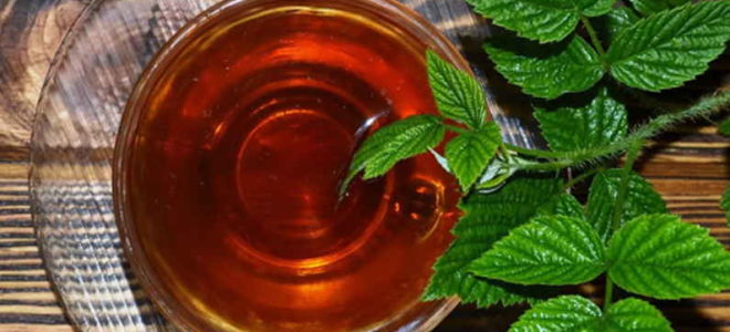 The benefits and harms of raspberry leaf tea