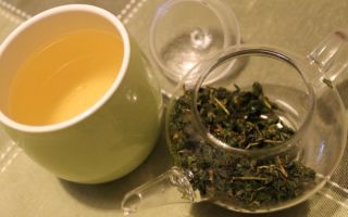 Milk oolong tea (oolong): kapaki-pakinabang at nakakapinsalang mga katangian