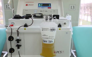 Donating blood plasma: contraindications, what is dangerous, the benefits of donation