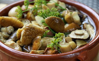 Mushrooms: useful and medicinal properties, contraindications