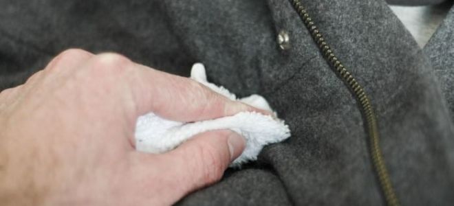 Wool coat: how to clean at home