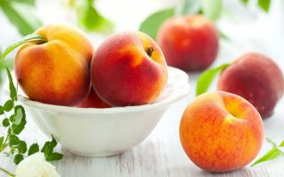 Why are peaches useful for the body, properties and contraindications