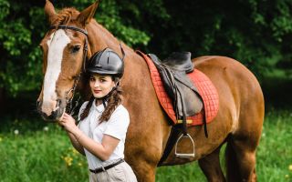 Ang mga benepisyo at pinsala ng mga isport na pang-equestrian, mga pagsusuri