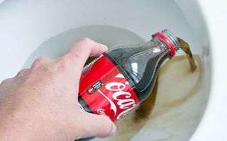 How to clean the toilet with Coca-Cola: instructions for use, reviews