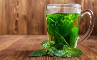 Mint tea: useful properties and contraindications, how to make