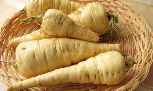 Parsnip: useful properties and contraindications, application