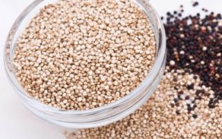 The benefits and harms of quinoa for the body