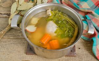 Why is chicken broth useful, how and how much to cook it