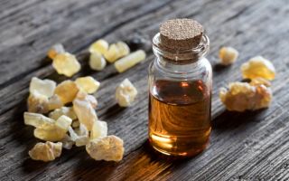 Frankincense oil: how to take, beneficial properties, reviews