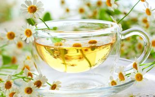 Chamomile tea: kapaki-pakinabang na mga pag-aari at contraindications