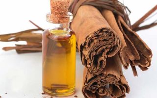 Cinnamon oil: properties and uses