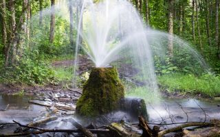 The benefits and harms of artesian water for the human body