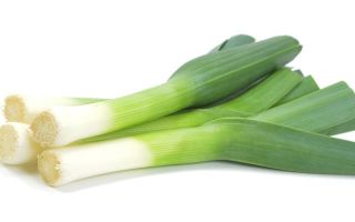 Ang mga benepisyo at pinsala ng leeks