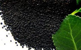 Humic acids: impact on the human body, properties and application