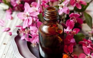 Geranium oil: aromatherapy, properties and application in cosmetology, gynecology