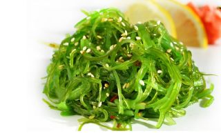 Chuk algae: benefits and harms