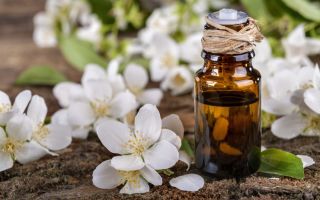 Jasmine oil para sa mukha at buhok