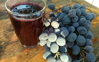 Grape juice: benefits and harms, simple recipes