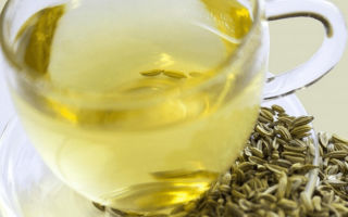 Fennel seeds: useful properties and contraindications, how to take