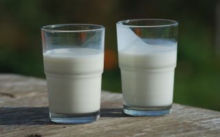 Buttermilk: apa itu dan bagaimana ia berguna