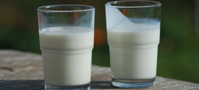 Buttermilk: apa itu dan bagaimana ia berguna