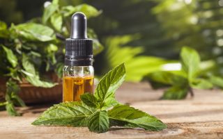 Medicinal properties and uses of peppermint essential oil