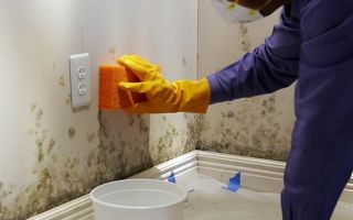 How to remove mold on the walls in an apartment