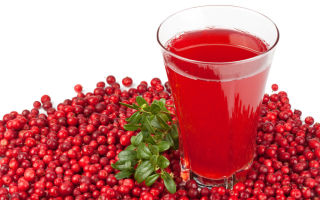 Cranberry juice: benefits and harms, properties