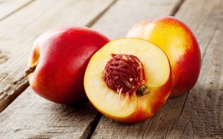 Nectarine: calorie content per 100 grams, which is useful for the human body