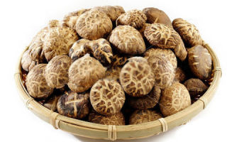 Shiitake mushrooms: benefits and harms, application