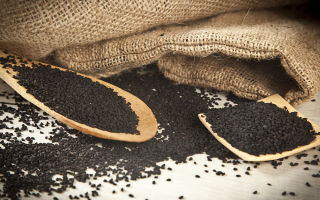 Black cumin: useful properties and contraindications, application