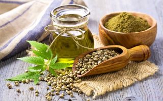 Hemp flour: properties and uses