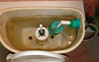 How to clean a toilet cistern from rust inside: folk and specialized remedies