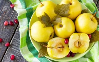 Why pickled apples are useful, how to cook them for the winter