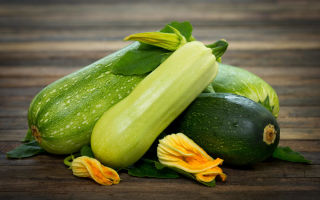 What are the benefits of zucchini for the body