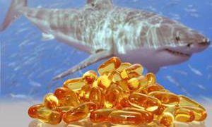 Why is shark oil useful?