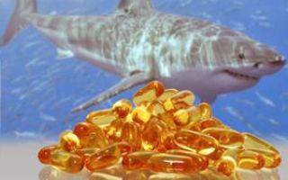 Why is shark oil useful?