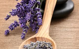 Cara menggunakan minyak lavender penting untuk wajah anda