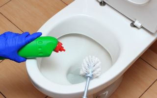 How to wash rust in the toilet: folk and specialized remedies