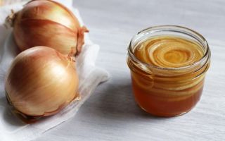 Onion juice: what helps, composition, properties and application with honey