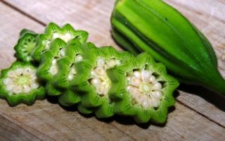 Okra (okra): jenis sayur apa itu, gambar tumbuhan, faedah dan kemudaratan kepada kesihatan