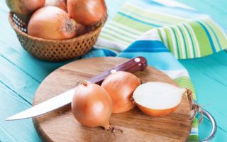 Why onions are useful for the body